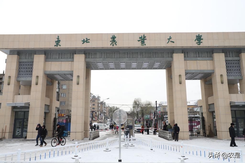 姚玉昌，东北农业大学教授，抗病育种、生殖免疫专家