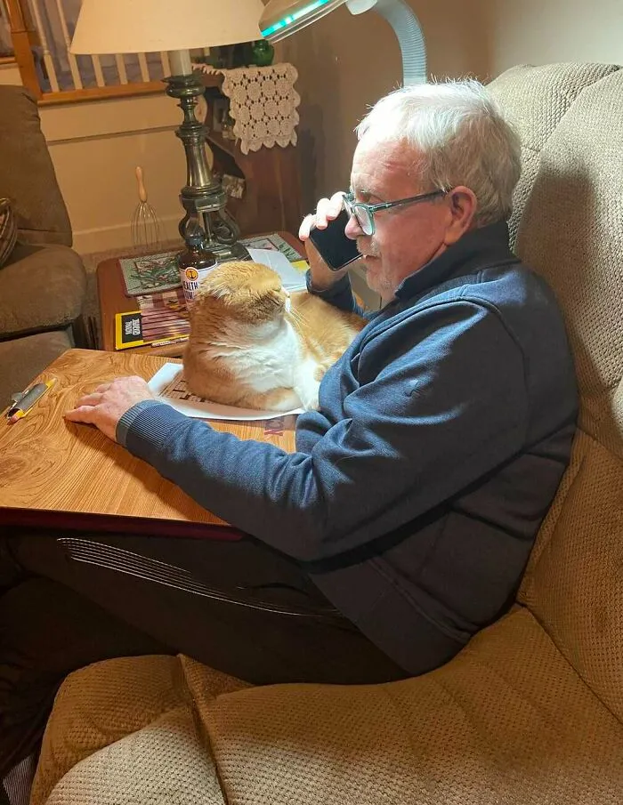 老人被診斷出癌症後，貓咪一直給予安慰，令人欣慰的事情發生了
