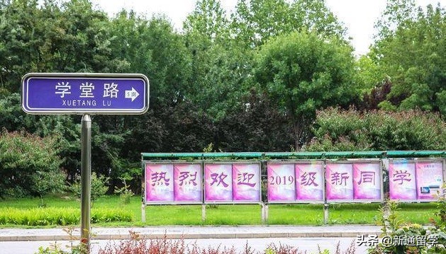 清华大学开学，柯洁、武亦姝等纷纷现身，男女比例让人意外