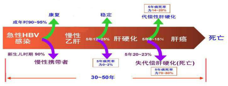 「抗体乙肝」乙肝疫苗可以管几年（几年打一次最好及有抗体）
