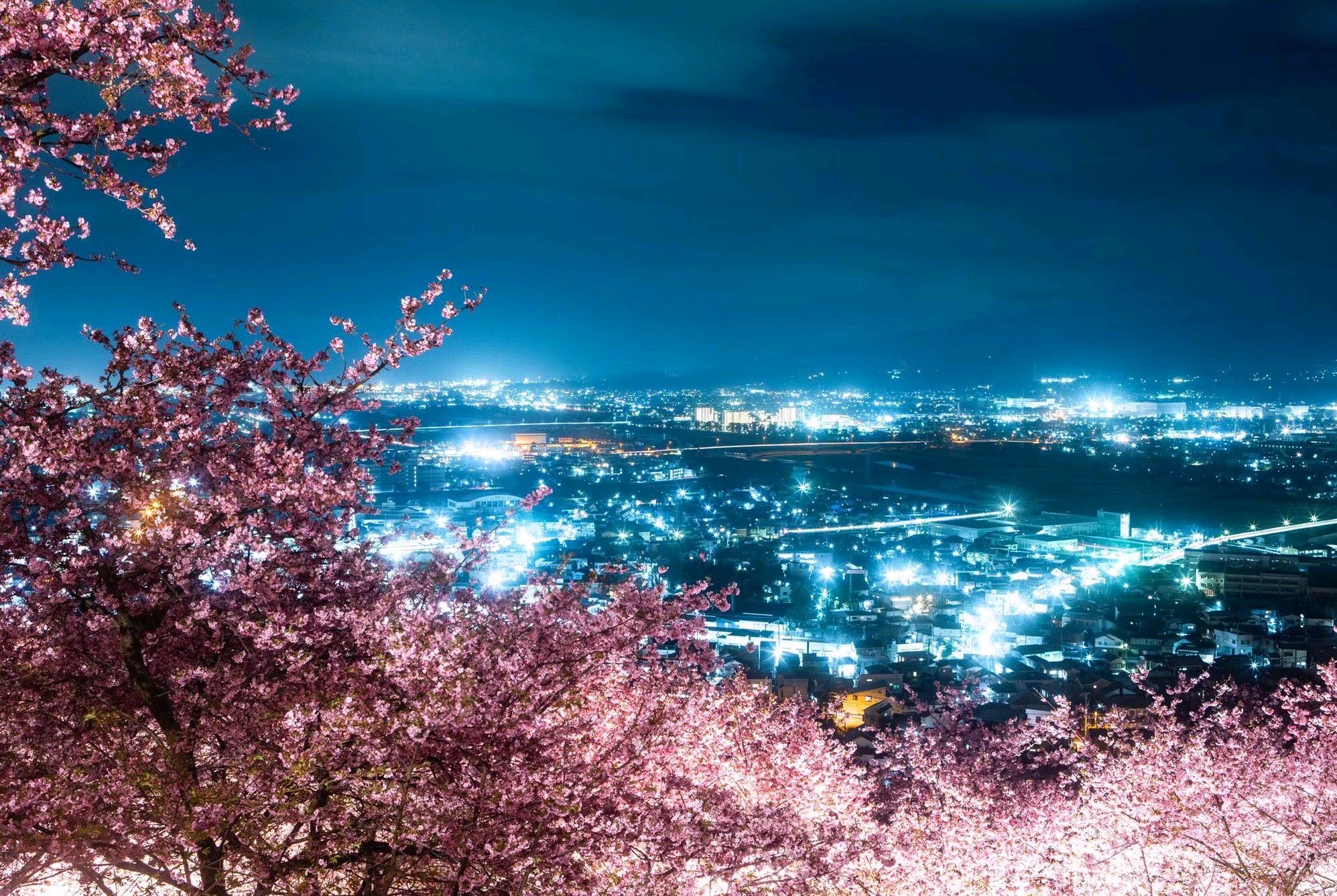 《黑天》《一级律师》太空世界观