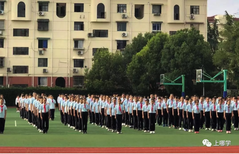 逆袭！上海这10所学校要翻身了