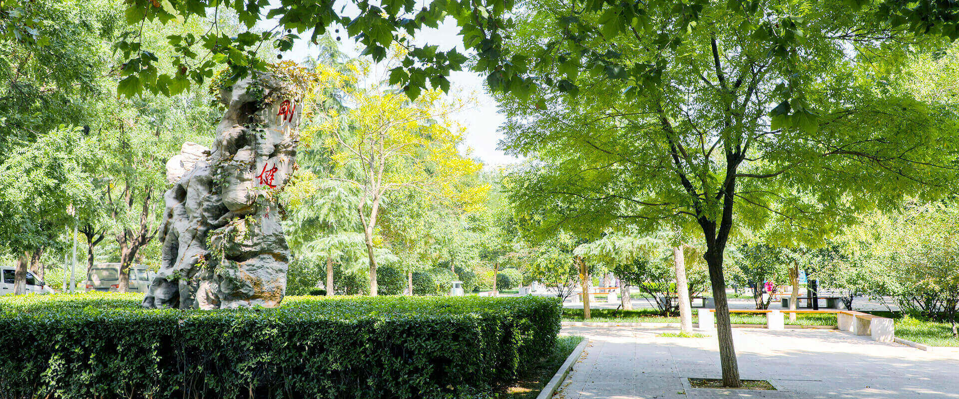 山东政法学院2020年招生计划，2019年分专业录取分数