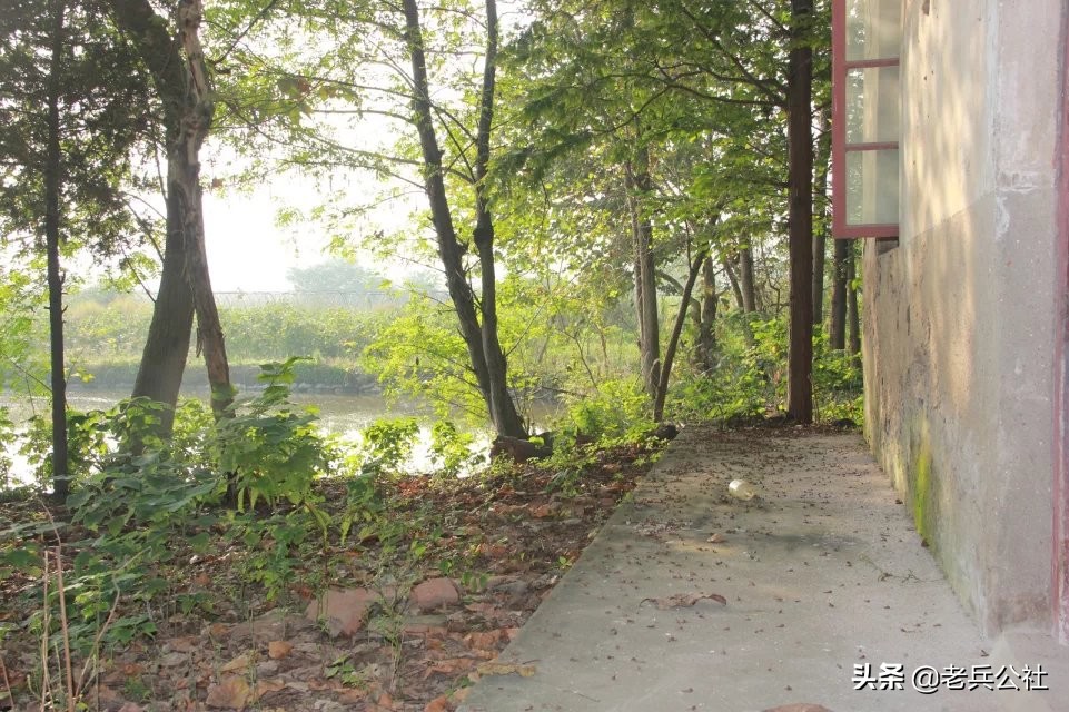 我的老屋我的情---老兵诗歌《老屋》