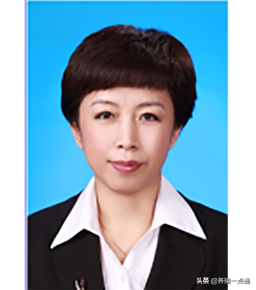 杨秀芹（女），东北农业大学动物科学院教授、博导，猪育种专家