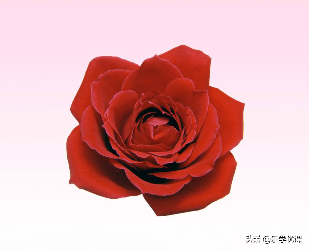 PS入门教程：常用的10大PS抠图工具详解