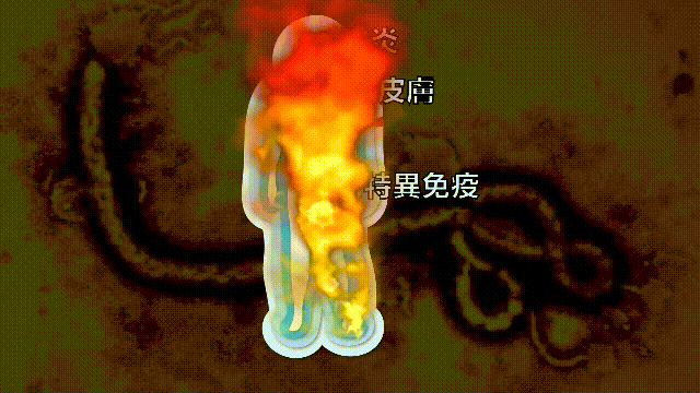 埃博拉：人类的诅咒，你的身体如何对抗它，它到底有多恐怖