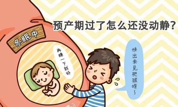 “试管宝宝”的预产期怎么算？