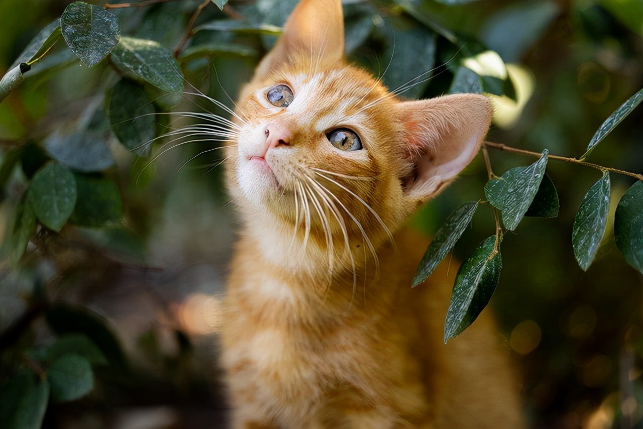 掌握这三个方法，副业越做越好