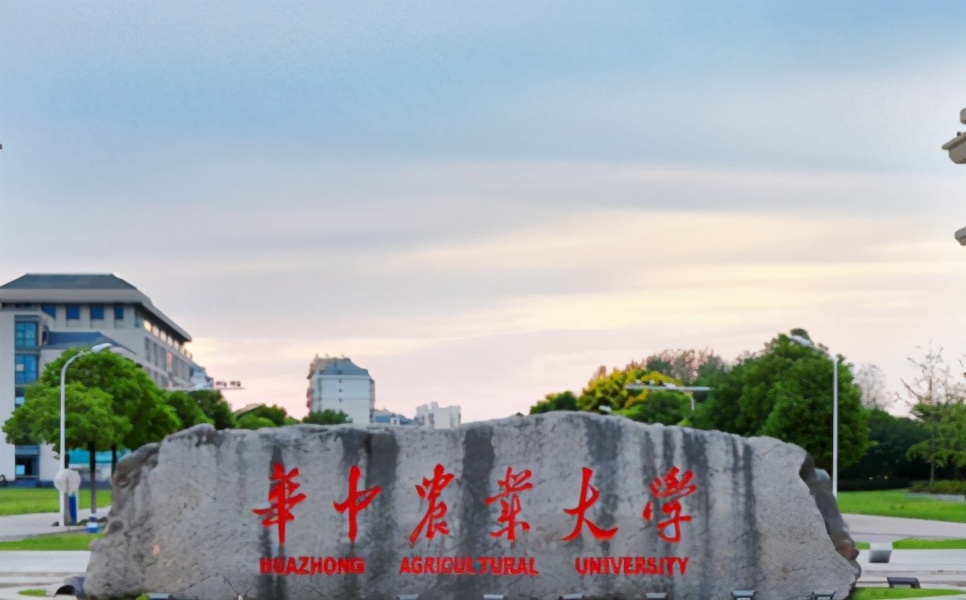 武汉成人大专学校有哪些？推荐10所成人高校