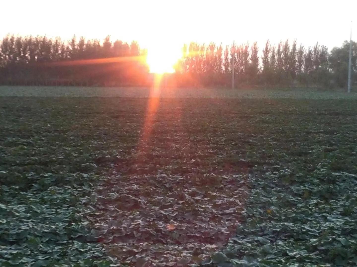 《原创文章》幸福就是不多想