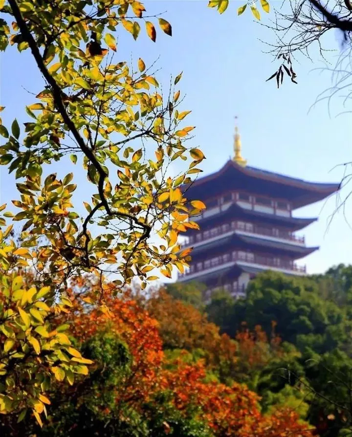 颜值爆表的小城,奇山不输黄山,秀水叫板桂林,绝对值得一去