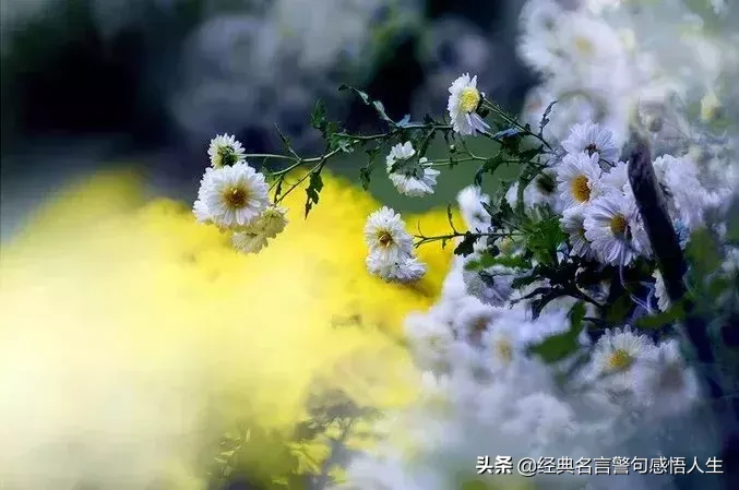 钱难挣，人难做，每分收入都熬着心力与时光。