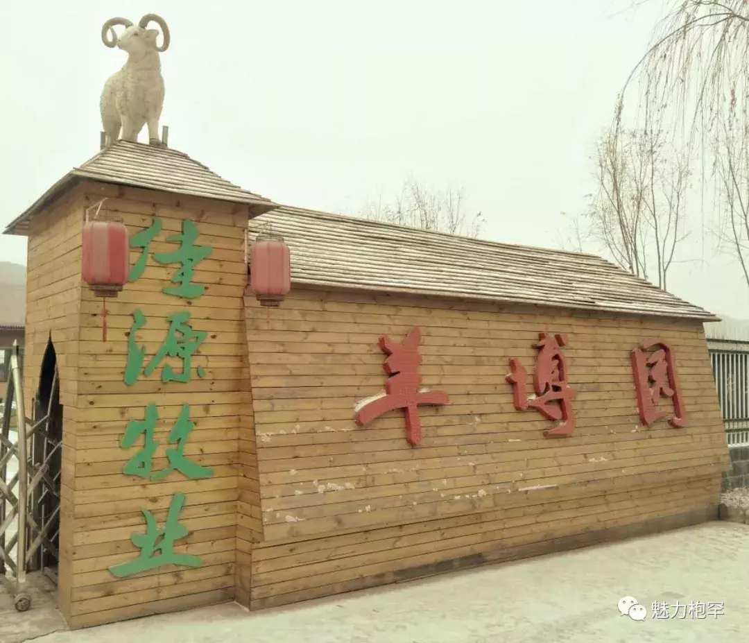 乡村旅游 | 枹罕镇金色农庄生态游:“赏花潮”带动“经济热”