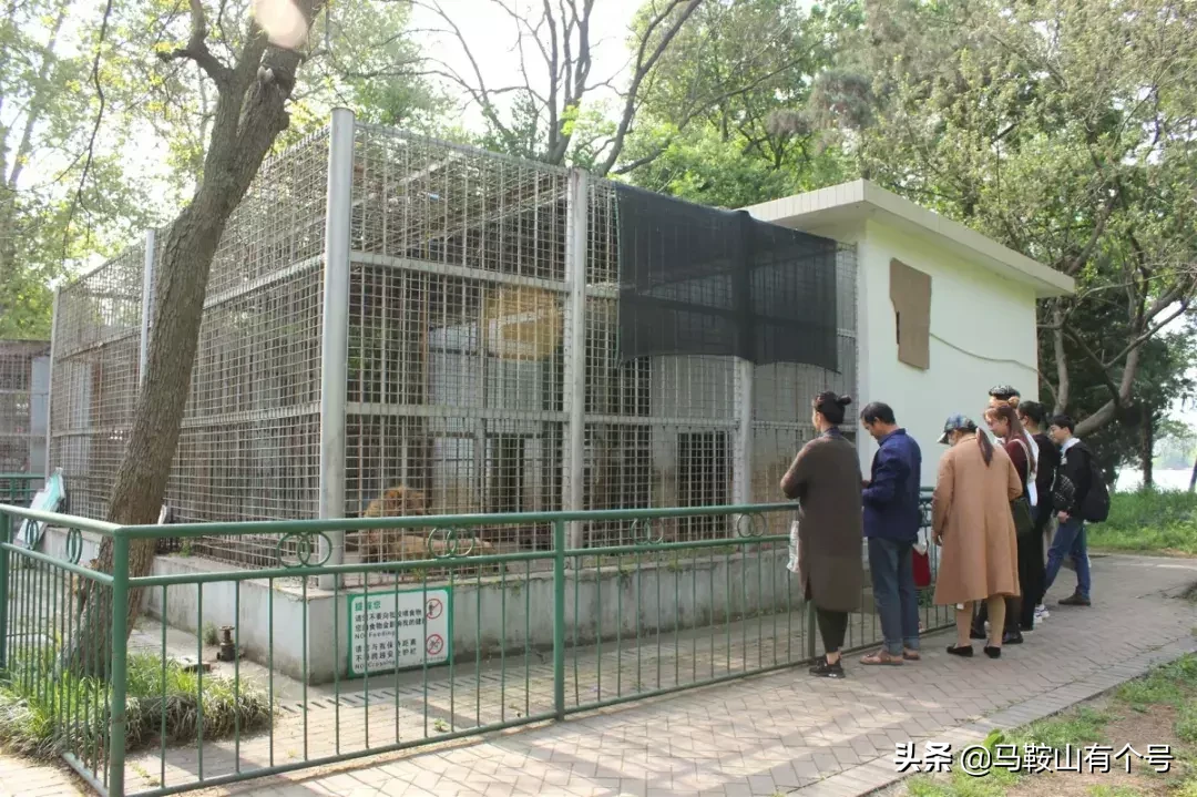 马鞍山人，别忘了动物园！这里曾是我们的全部！