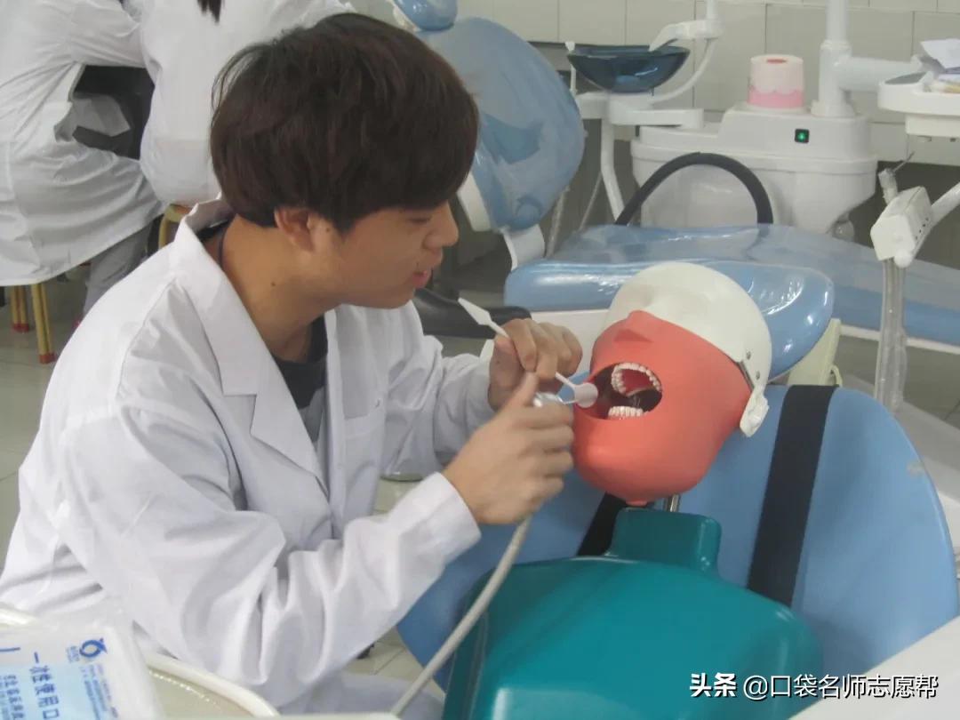 超详细！全国65所医学院校2020在津招生数据，想学医收藏