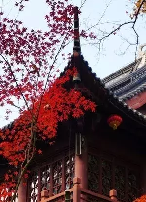 最美不过枫叶红,6个红枫圣地"打包"给你,错过悔一年