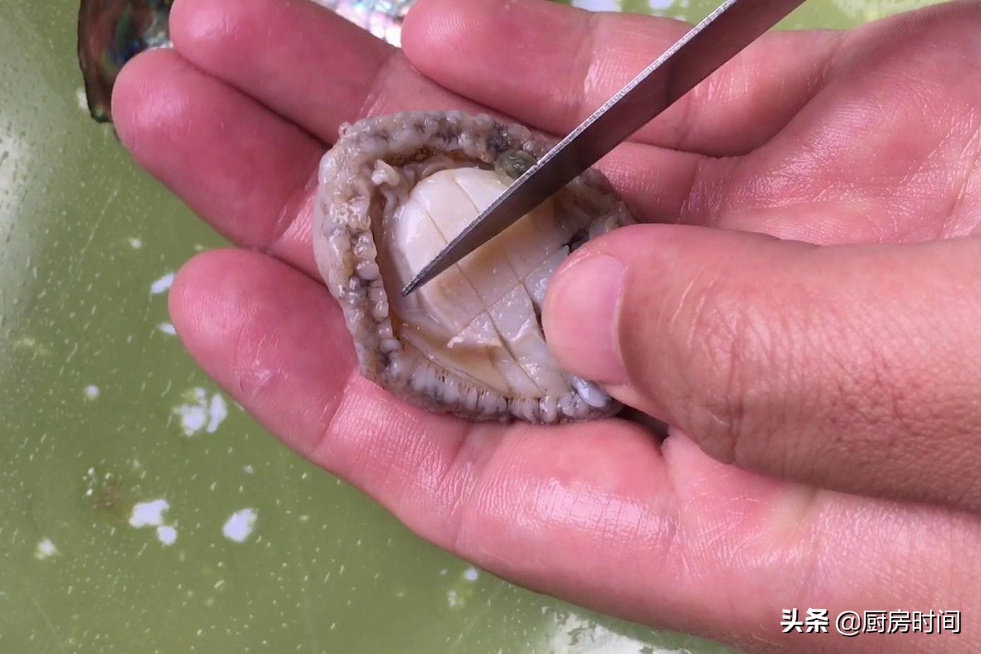 鮑魚怎么做,鮑魚怎么做最簡便最好吃呢