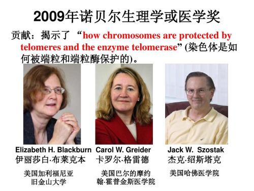 诺贝尔医学奖获得者透露抗衰老的秘诀：这样做轻松GET年轻态