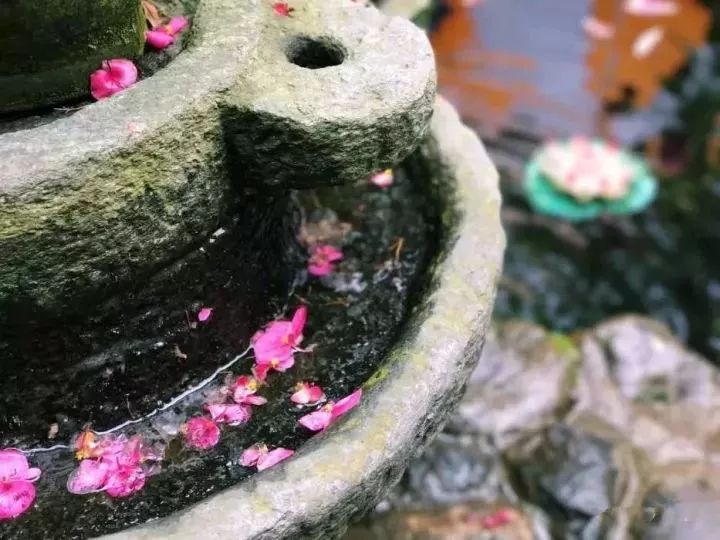 最美的尼姑庵，不烧香只种花，看一眼就想出家