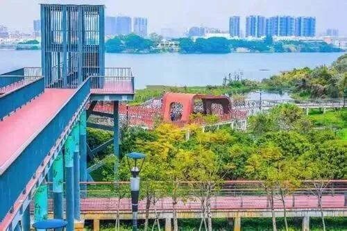深圳十大免费特色的湖泊公园