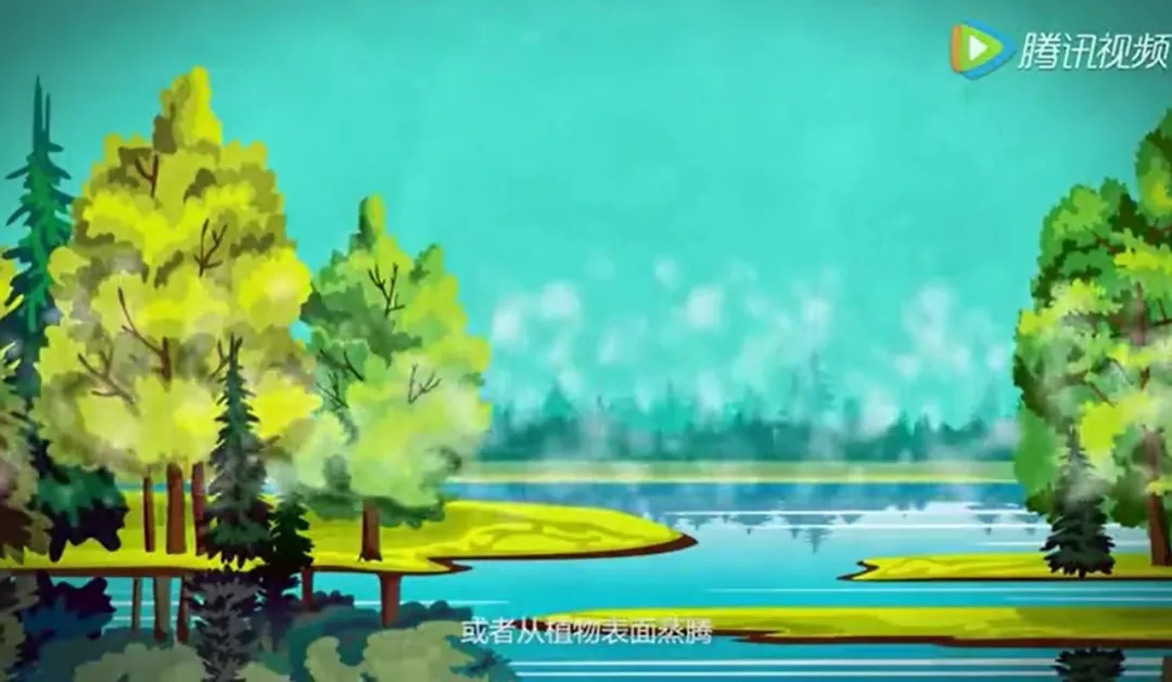 科普动画 | 自然界的水循环有哪几个环节？