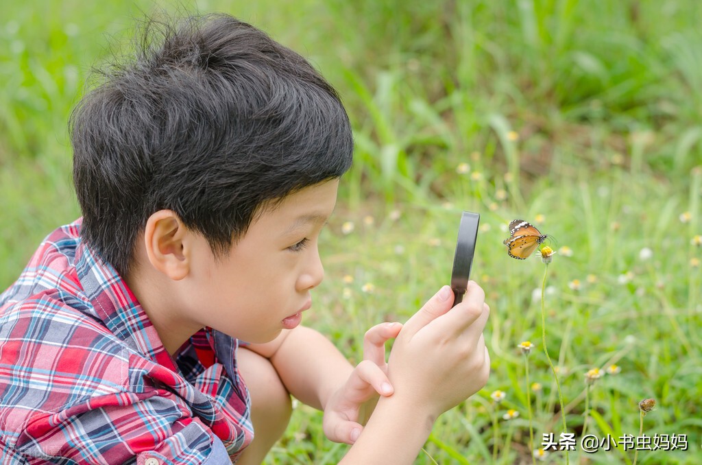 用自然教育，妈妈陪娃做5种有趣游戏，触发孩子的敏感“五感”