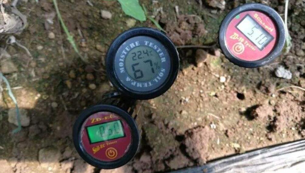 蔬菜大棚土壤盐碱化，是何因素引起的，又该如何解决呢