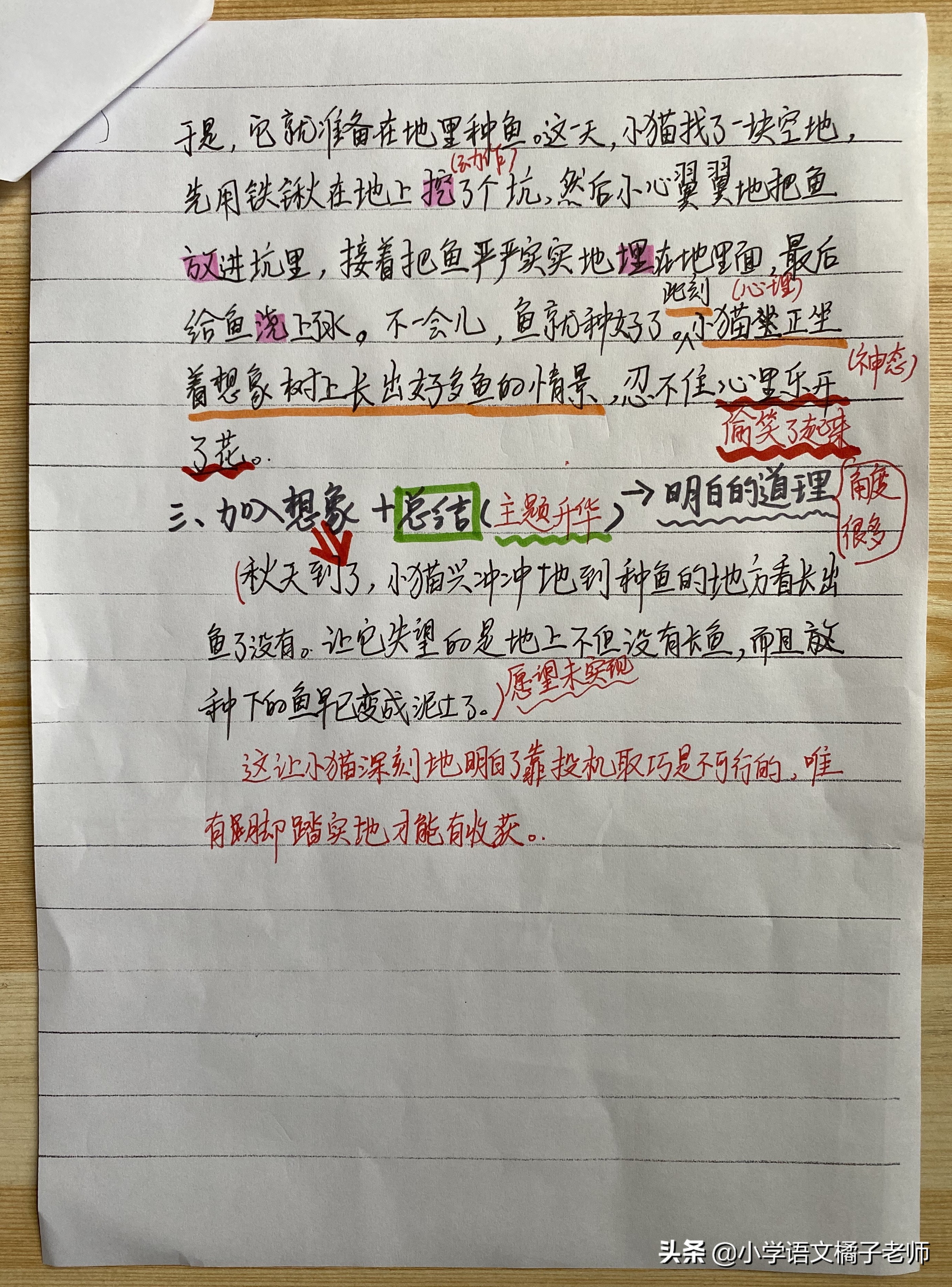 看图写话《小猫种鱼》语言故事，教会你家孩子一个道理