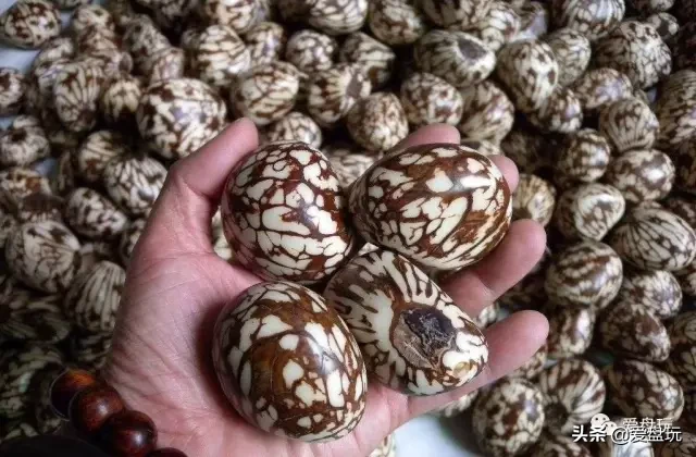 好看又不贵，但拉风！这17种小众手串，你玩过几种