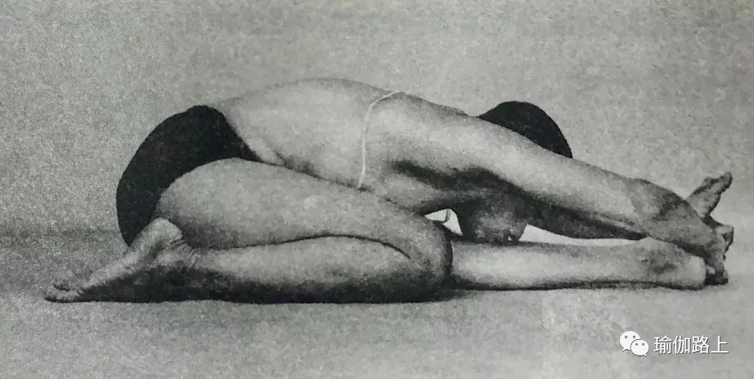 艾扬格密集一 | 32 个经典体式 & 2 大呼吸法经典示范图