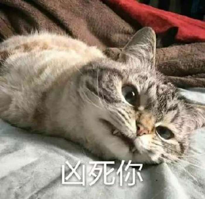 Word文本框用得好就是战斗机，用不好就是垃圾