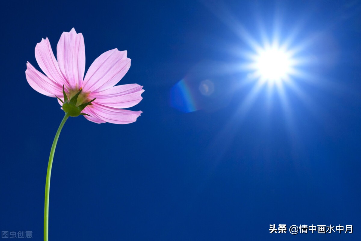 温暖人心的早安句子阳光正能量（精选21句）图片