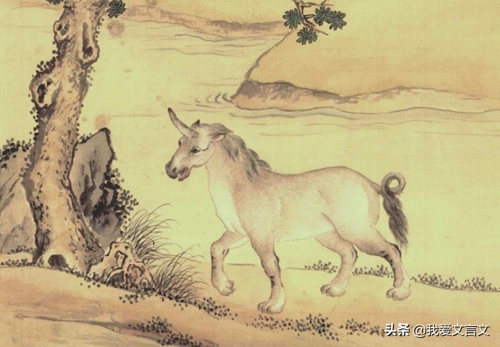 经典文言文赏析 | 象虎