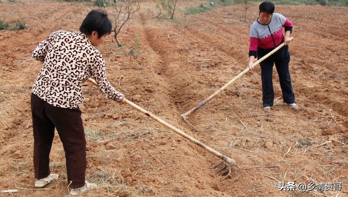 常年打工的农民和常年种地的农民，有哪些不一样