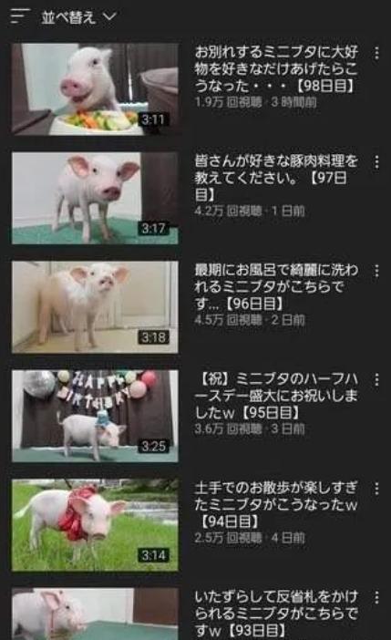 一位日本网友把自己的宠物烤着吃了，引发网络大热议