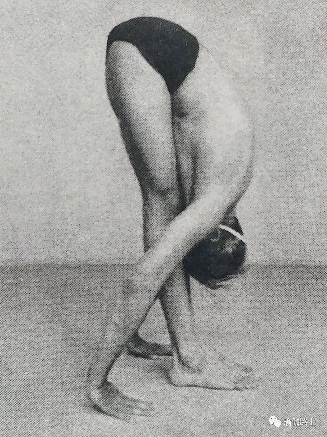 艾扬格密集一 | 32 个经典体式 & 2 大呼吸法经典示范图