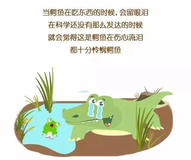 鳄鱼流眼泪?忏悔啦?伤心啦?