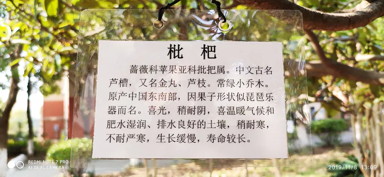 陪你一起看湖北省广水一中①——走进植物王国