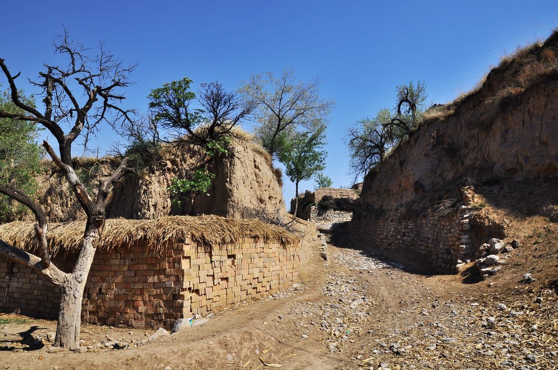 书写潦草，一评三评皆45，高考满分作文《青春逝去，青春不朽》