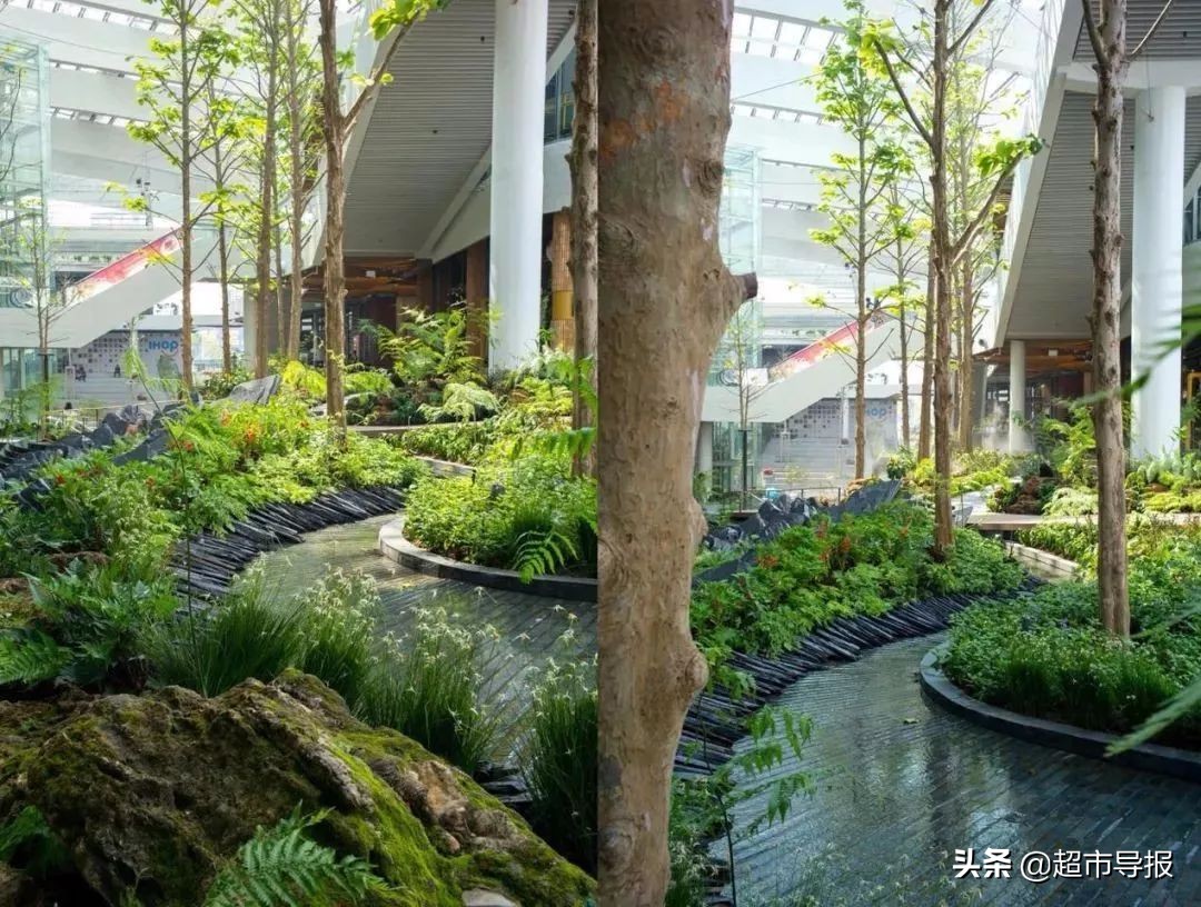 零售洞察｜如果不在公园旁，就把公园搬进购物中心