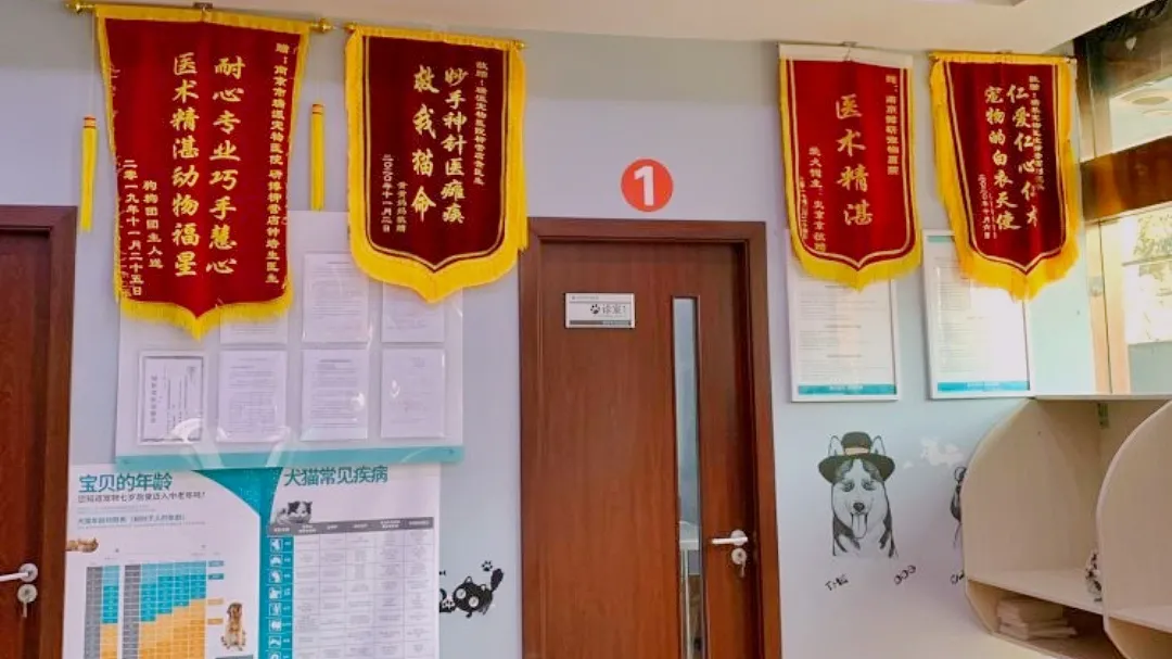平凡而伟大:致敬最美兽医人