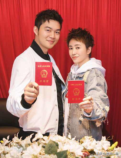 马丽个人资料老公吴江(马丽) - 散下步