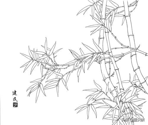 竹子高清白描线稿图片下载41幅