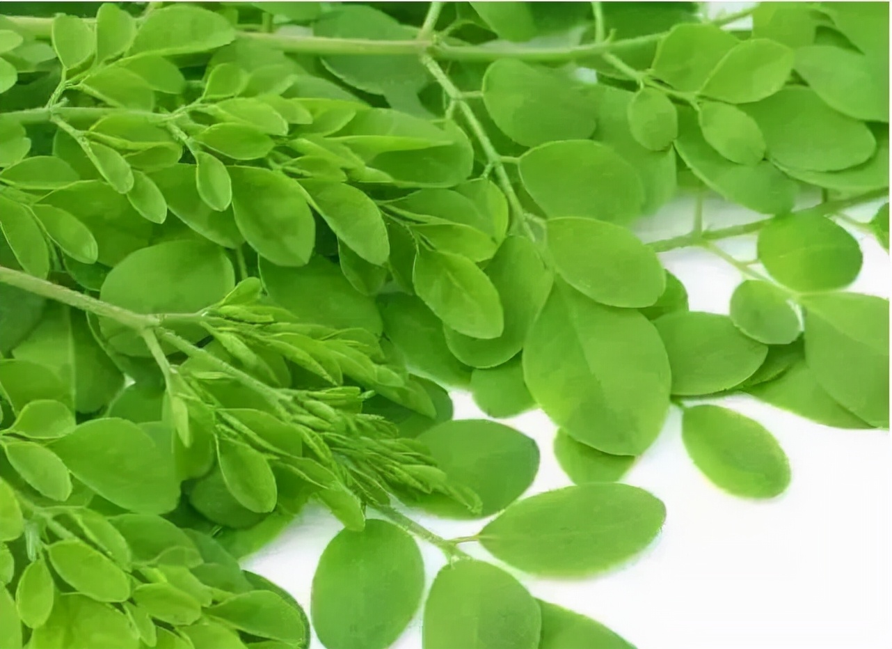 辰颐物语:辣木叶小麻花牛排味——添加辣木叶,营养