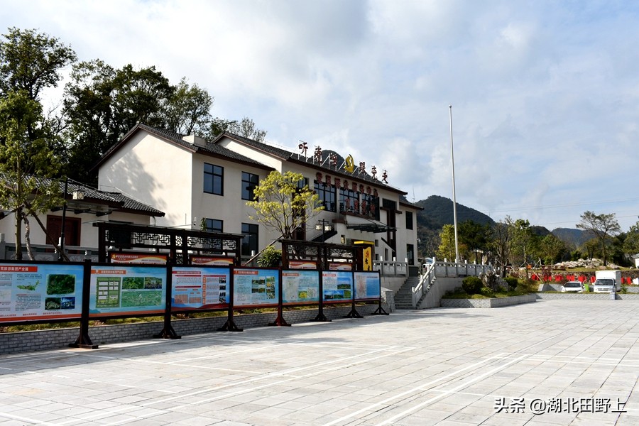 田野上團(tuán)隊(duì)下鄉(xiāng)小記丨走進(jìn)省級美麗鄉(xiāng)村示范村—分鄉(xiāng)鎮(zhèn)百里荒村