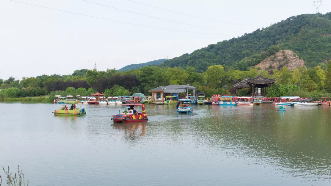 杭州深度游玩指南来了！品茶、游湖、登山...带你解锁多种新玩法