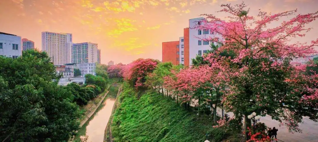 广州大学华软软件学院 | 各系简介汇总，总有你想要的