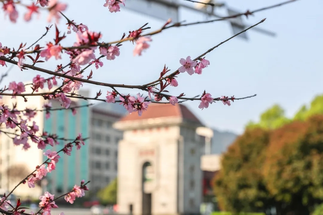 湘南学院2021年艺术招生来了！你想知道的，都在这里