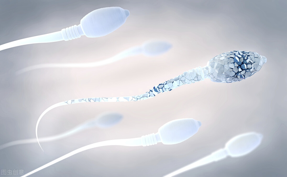 如何自测精子成活率 影响男性的生育能力的四个生活习惯